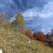 steile Wiese oberhalb der Oberauerbrunstalm