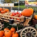 es wird Herbst in Zorneding