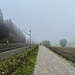 schnurstracks durch den Nebel bei Grafing