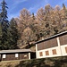 ... erst mal bis zur Cabane Montanin (dem Ski-Club Montanin gehörend - hier mit [http://www.aim-montana.ch/apartments_rent/apartments_rent_week/chalets/cabanemontanin/cabanemontanin_photos.pdf zahlreichen Infos])