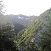 In Bildmitte das Steinkarle, darüber Lichtbrenntjoch-Nordgrat. <br />Rechts der stark belatschte Ostgrat/rücken zum Spießberg - wäre wohl ersteiglich, aber ein heilloser Latschenkampf