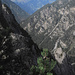 Fernblick