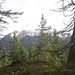 typisches Ambiente: Uriger Wald, Schnee auf den Bergen im Hintergrund und ich völlig alleine pfadig unterwegs