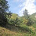 Aufblick zum Spießberg-Ostgrat. Das Pfädli vom P.1532 quert in der Südflanke