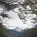 Ein Durchblickfang - die Kreuzspitze