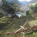 Nahe P. 1532 eröffnet sich ein herrlicher Blick gen Westen