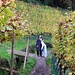 unterwegs am Maiser Waalweg