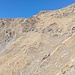 In der Flanke ist ein querender Steig zu erkennen, allerdings nicht markiert und nicht der, der mich zum Grat hinaufführt. <br />Oben links der Bildmitte kann man das Kreuz am Wanser Joch erkennen.