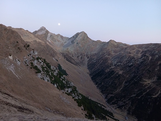 In der Grasflanke ist ein schneller Abstieg möglich. Weiter unten nehme ich den Steig, der sich oberhalb der Oberberg Alm im Grashang verliert.