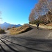 Strada da Montemezzo all'Alpe Piazza