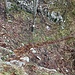 Weiterweg