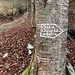 [u Zaza] war auch schon [https://www.hikr.org/gallery/photo2777784.html?post_id=137184 hier]