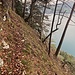 Weit- und Tiefblick
