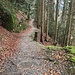 weiter geht's auf der Abwasserleitung