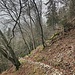 Blick zurück auf die Wegverzweigung