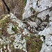 Blick zurück
