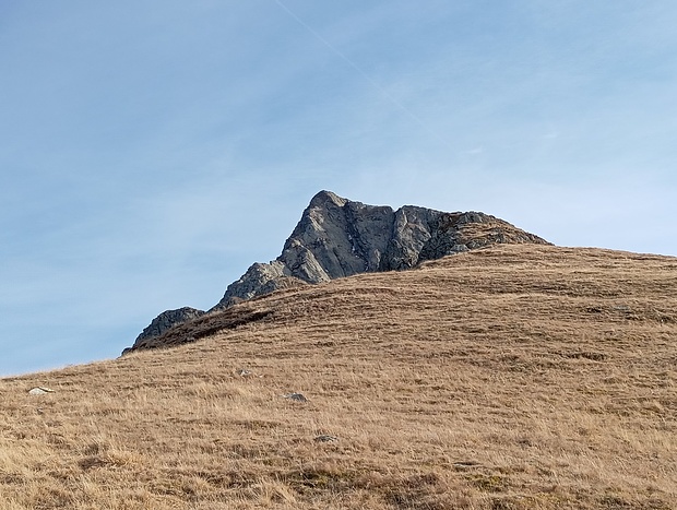 Die Wegspur hatte aufgehört, weshalb ich weglos im Gras quere.