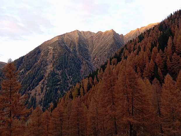 Schöne Herbstfarben!