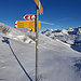 Bereits lange Schatten bei der Ankunft am Trüttlisbergpass: von rechts über Leiterli und Mülkerblatte u.a. Grosstrubel, Steghorn, Balmhorn, Altels, Ammertespitz, Doldenhorn, Loner, Mönch und Eiger