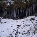 Winterlich: Eiszapfen im Wallegggrabe