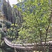 diese Hängebrücke ist mit einer Steigung ausgestattet (Traversina II)