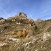 unter dem bekannten [https://www.hikr.org/tour/post160935.html Petit Mont Bonvin] vorbei