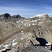 ... sowie Rot-, Antennen- und Schwarzhorn