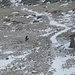 Karim in Val Duragno (cerca il tel per ascoltare un mio vocale)