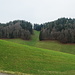 wieder zurück im Herbst