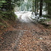 vom Herbst in den Winter