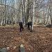 Intervista e salita tra faggi e betulle