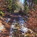 Bergwanderweg in Richtung Heiti