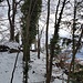 Le Pavillon, vu depuis la forêt