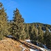 schöner Wanderweg durch bewaldete Gebiete