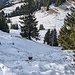 Rückblick auf den steilen Aufstieg auf den First