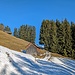 an den exponierten "Sonnenhängen" hatte es keinen Schnee mehr