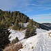 auf dem Weg hinunter zum Treietpass