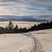 schöne Stimmung bei untergehender Sonne auf dem Weg zurück vom Treietpass zum Muttaboda