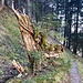 alt und jung gelungen kombiniert