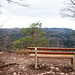 Blick zum Irrenberg
