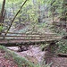 Holzbrücke über den Goldbach