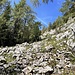 Schon nach dem (unmarkierten) Abzweig zur Rotwandalm. Rechts eines kleinen Tälchens aufwärts ...