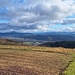 Aussicht bei Linn