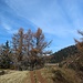 Aussichtspunkt Ifingerhütte