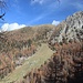 hinab zur Hütte