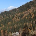 oberhalb der Ifingerhütte