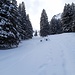 Die Schneemenge unterhalb der Fluonalp ist schon ordentlich und völlig ausreichend auf dem eher grasigen Gelände.