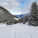 Wunderbare Winterlandschaft mit Blick hinunter zum Sarnersee