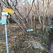il punto in cui il sentiero T6 raggiunge la strada asfaltata