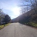 seguiamo la strada in direzione Sud, per trovare una viuzza che scende a sx verso Cafferonio...